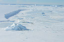 D3S_0146